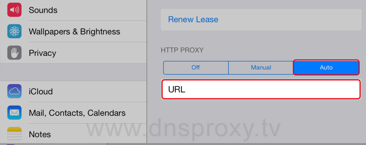 Proxy URL Configuration Guide for iPad /iPhone | DNSProxy.TV
